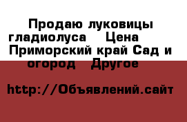 Продаю луковицы гладиолуса  › Цена ­ 10 - Приморский край Сад и огород » Другое   